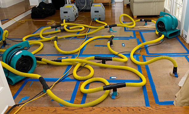 Professional Structural Drying And Dehumidification technician working in Rahway, NJ